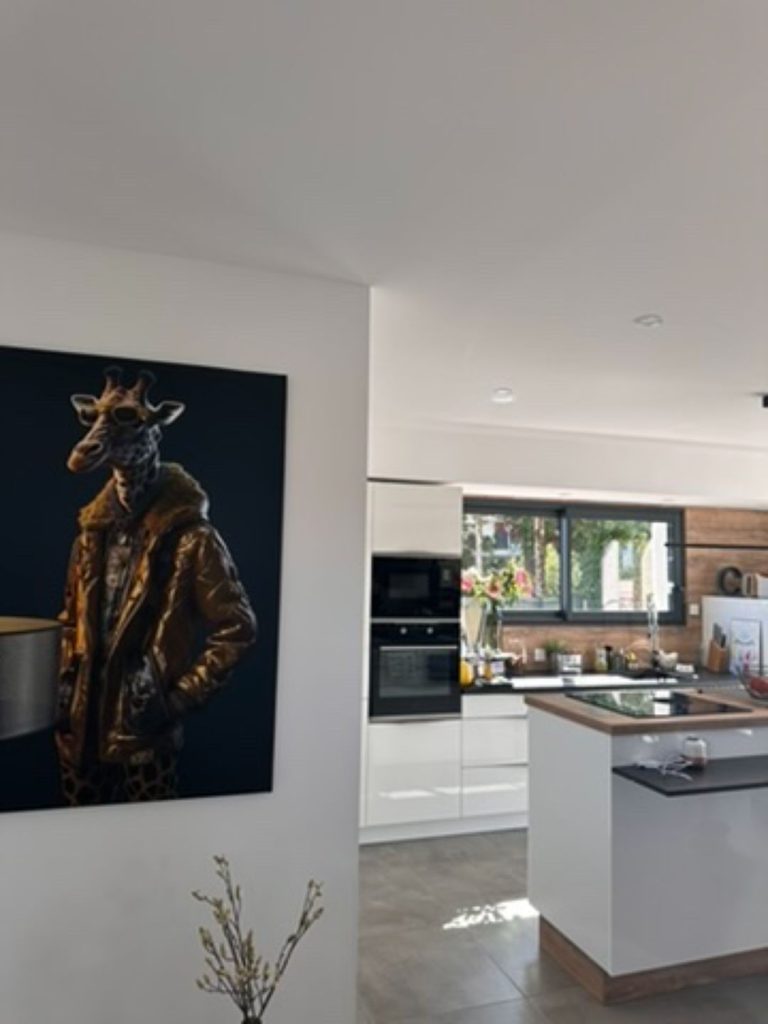 construction et renovation de maisons individuelle dans le tarn cadrieu 010