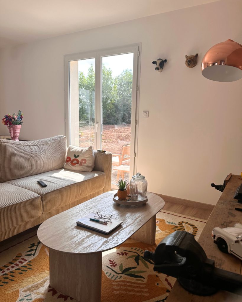 desmettre realisation 001